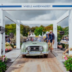 Nash Healey series 2